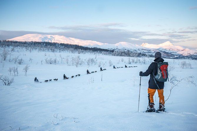 Guided Morning Snowshoe Hike with Huskies