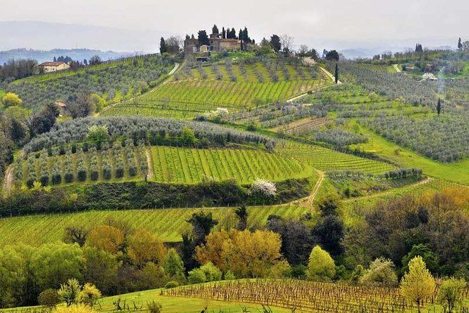 Private Tour Tastes of Tuscany: Pisa, Siena and Chianti