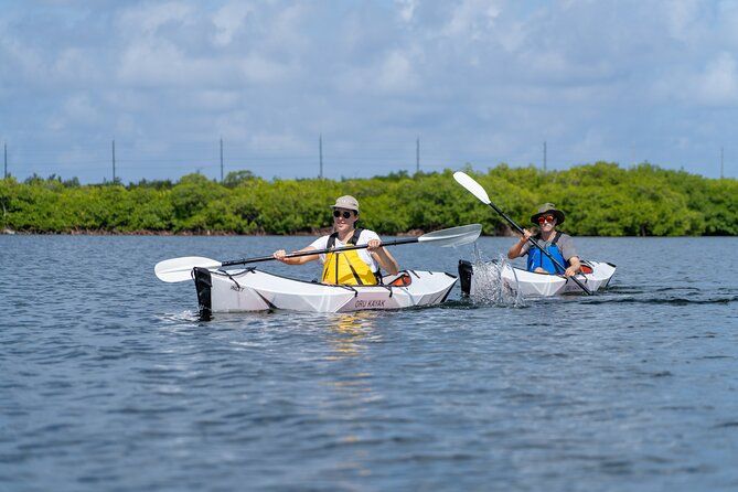 Small Group Glass Bottom Kayak Adventure- Cayman Islands