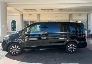 8-Hour Rental in a Luxury Car and Driver/Official Private Guide in Tenerife