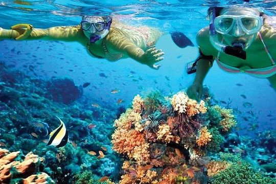 Discover Isla Mujeres in Catamaran. Buffet, Open Bar and Snorkel