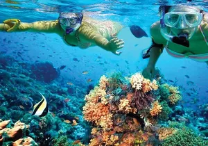 Discover Isla Mujeres in Catamaran. Buffet, Open Bar and Snorkel