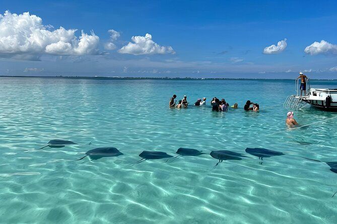 Fun Family 3 stops StingrayCity Adventure