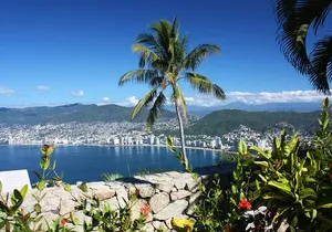 Small-Group or Private All Inclusive 4 Hours City Tour & Divers