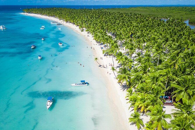 Saona Island Small Group Speedboat Tour with Lunch