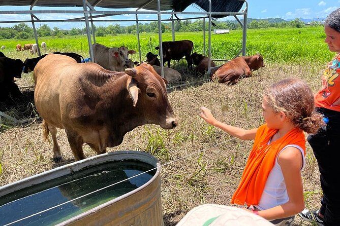 Eco Friendly Farming Tour to Explore Dorado's Most Beautiful Farm