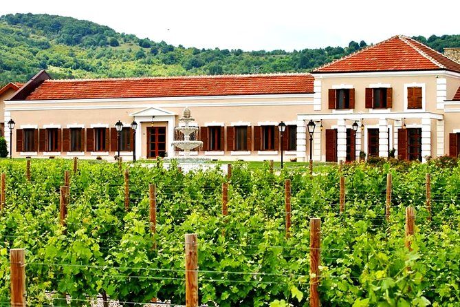 Midalidare Estate Wine Tasting & Activities