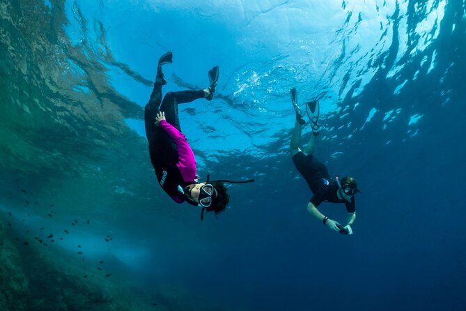 Boat Snorkeling in the Portofino Marine Protected Area