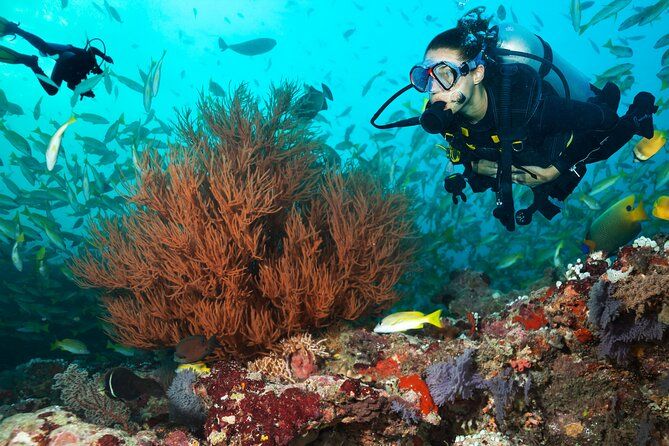 Try Scuba Diving in Kauai From a Boat: No Experience Necessary