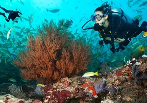 Try Scuba Diving in Kauai From a Boat: No Experience Necessary