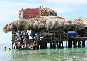 YS Falls, Black River Safari, and Floyd's Pelican Bar Day-Trip (Transportation)