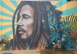 Bob Marleys One Love Private Tour 9 Mile