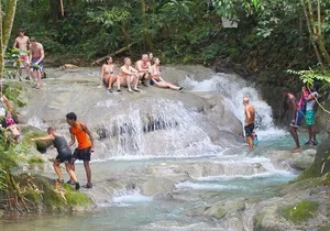 Mayfield Falls and Benta Falls Private Tour