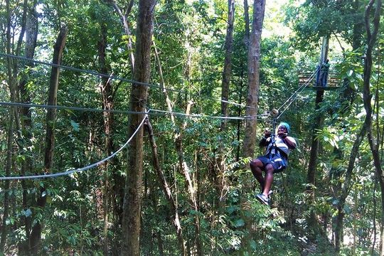 Canopy Zipline & Dunn's River Falls Adventure Tour from Runaway Bay