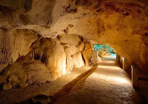 Green Grotto Caves and Dunn's River Falls Guided Tour with Admission