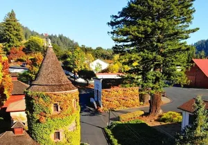 Private Russian River Valley Wine Country Day Trip from San Francisco