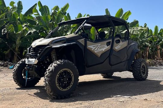 Monster Buggy Teide Tour 4Seaters