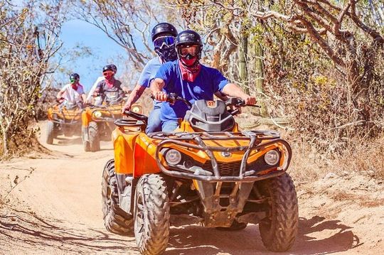 Candelaria Beach & Desert