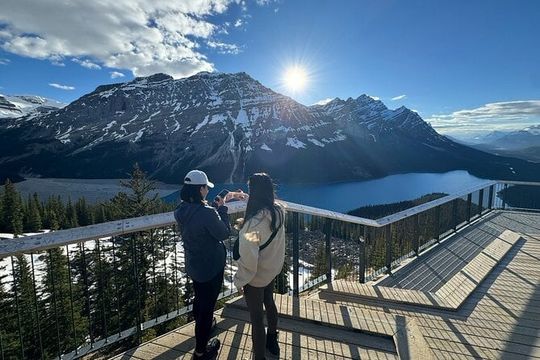 Lake Louise Peyto Lake Bow Lake Crowfoot Glacier Half Day Tour