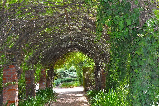 Barossa Valley Cellar Door Small Group Tour