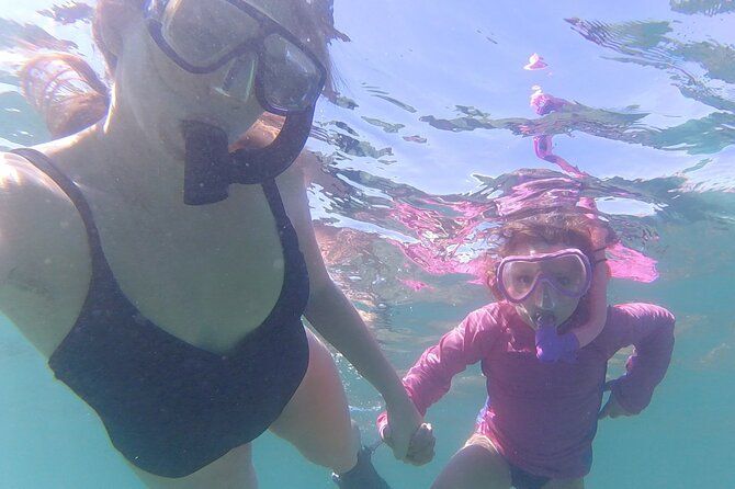 Snorkeling San Carlos with a Marine Biologist