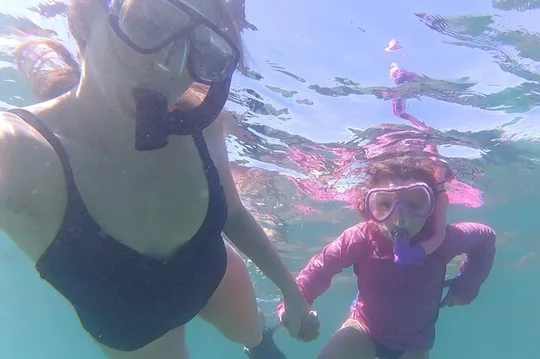 Snorkeling San Carlos with a Marine Biologist