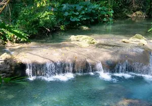 Mayfield Falls River Walk Private Tour