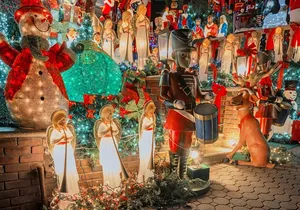 Dyker Heights Christmas Lights Express Bus from Times Square