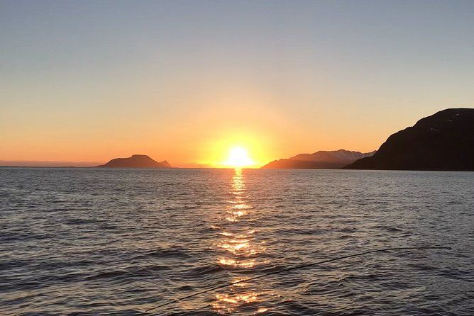 Tromsø: Summer Evening Cruise with Activities