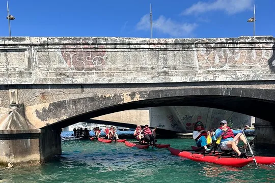 San Juan Water Bike Tour in Condado Lagoon