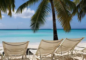 Small Group: Saona Island Full Day Tour