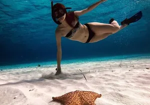 Cozumel Snorkel Experience! Colombia, Palancar & El Cielo Reef