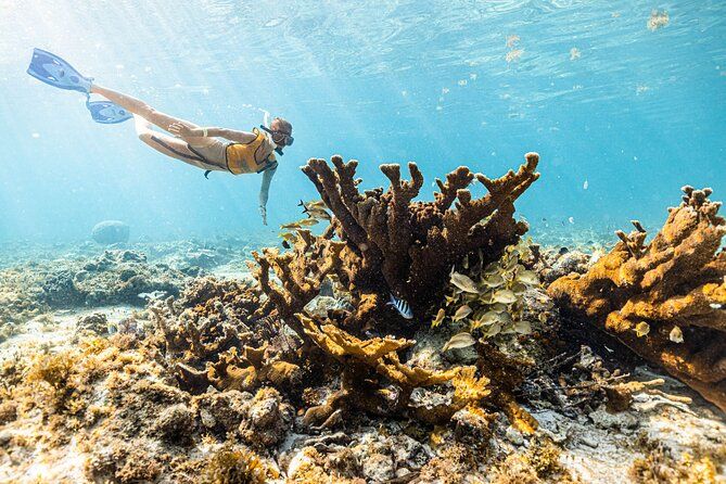 Snorkel Paradise Cancun 5 in 1 For Non Swimmers