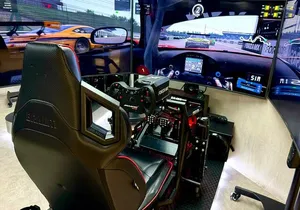 Professional racing simulator