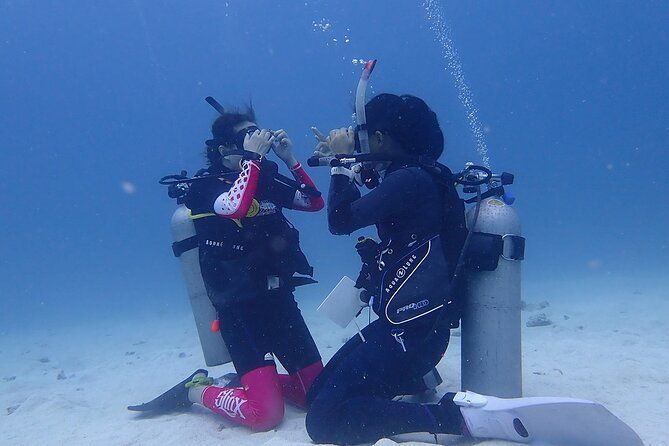 Discovery Scuba Dive.