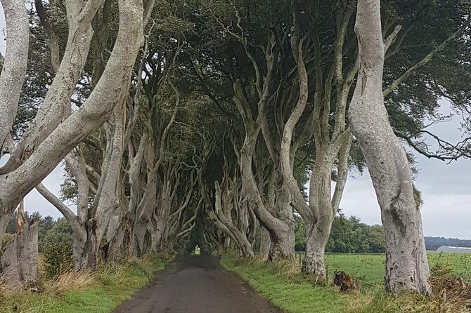 Private Antrim Coast Tour: Giants Causeway and Game of Thrones