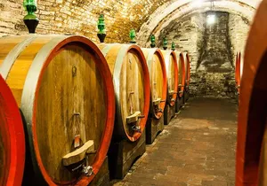 6-Hour Wine Country Tour from San Francisco