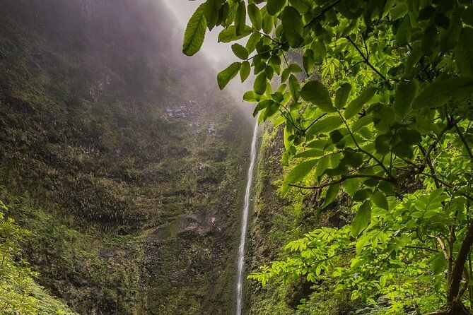 Caldeirão Verde Levadas Walk in Madeira