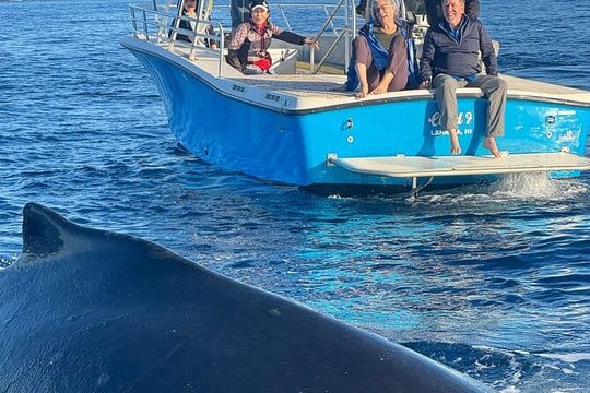 Premiere Whale Watch Kaanapali Beach Departure