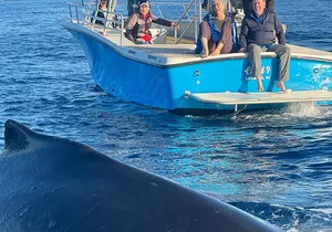 Premiere Whale Watch Kaanapali Beach Departure