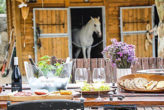 Wine tasting at Quinta das Murgas