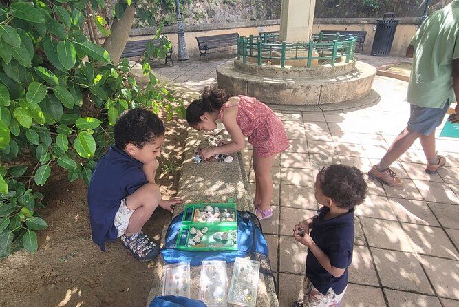 Old San Juan Family Fun Tour: Science/History/ Yummy treats