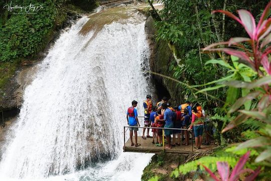 Horseback riding, Blue hole or Dunn's River Combo