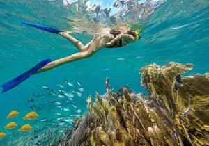 Puerto Morelos Reef Snorkeling Tour with Lunch & Hotel Pickup
