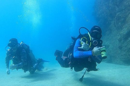 Non-Certified Diving Adventure in Cabo San Lucas