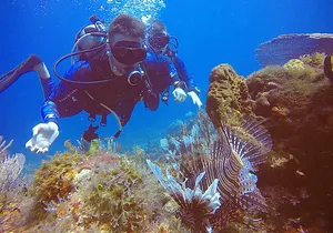 2 Tanks Scuba Diving in Punta Cancun Reefs for Certified Divers