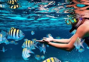 Family Fun-Snorkeling with Lunch Stop from Montego Bay