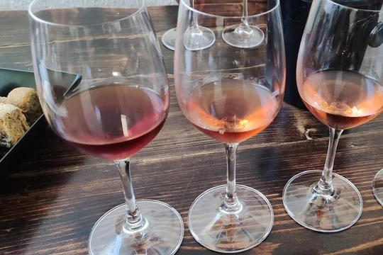 3-Hour Shared Greek Wine Tasting