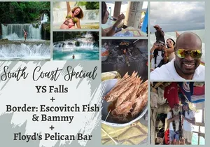Full Day to YS Falls, Border & Floyd's Pelican Bar
