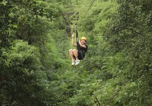 3 Zipline Adventure with Waikiki Transportation